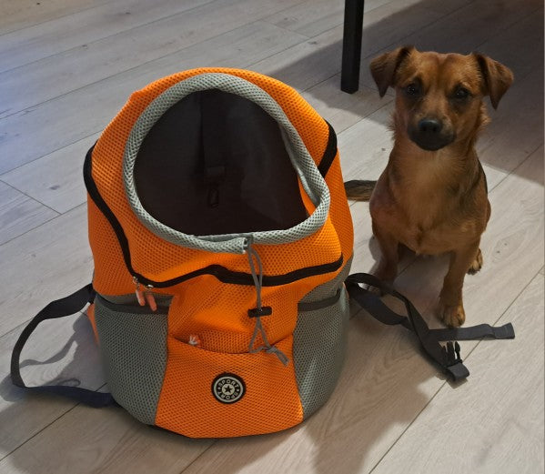 Double Shoulder Pet Travel Backpack