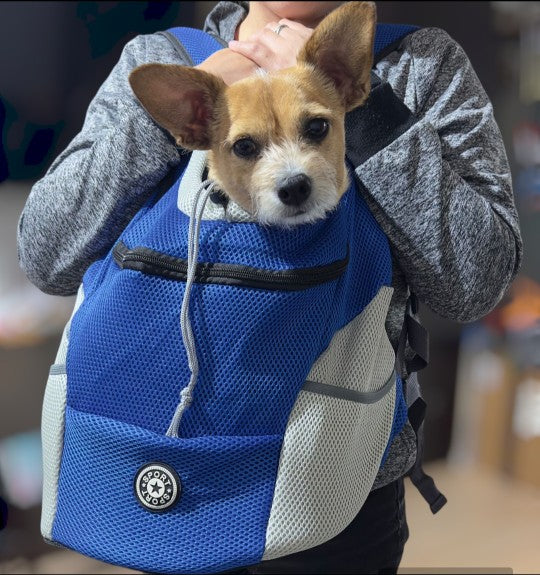 Double Shoulder Pet Travel Backpack