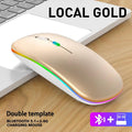 Aurora RGB Rechargeable Wireless Mouse - Blitzshopp.com