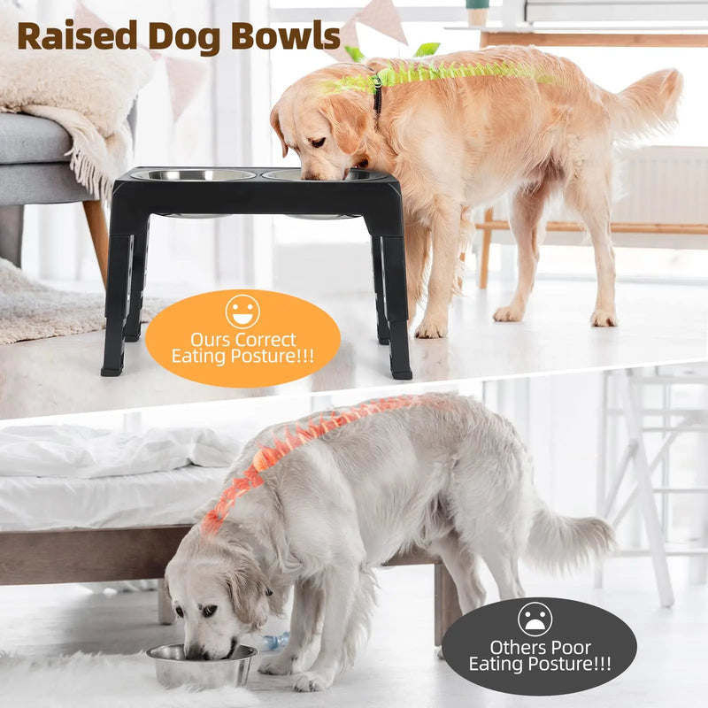 Adjustable Elevated Dog Feeder with