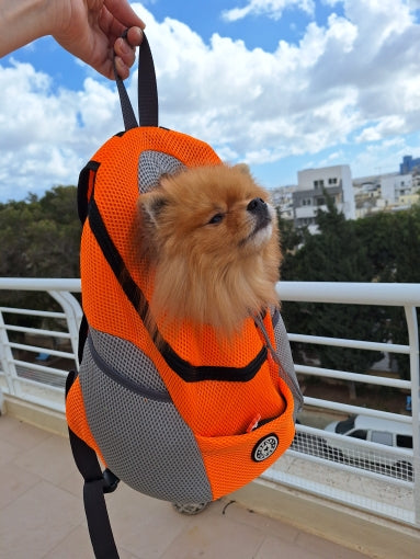 Double Shoulder Pet Travel Backpack